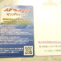 【前売特価】ハチハチ北 共通リフト券(2枚)【郵送可】