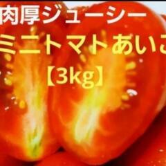 【ネット決済・配送可】ミニトマトアイコ３キロ