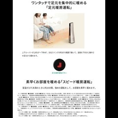 SHARP スリムイオンファン