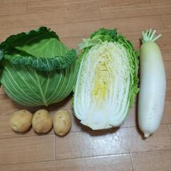 年末のお野菜４点