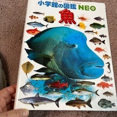 小学校の図鑑　NEO 魚