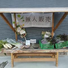 《ALL100円》無農薬野菜の無人販売所