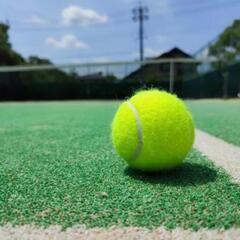 硬式テニスしませんか?🎾