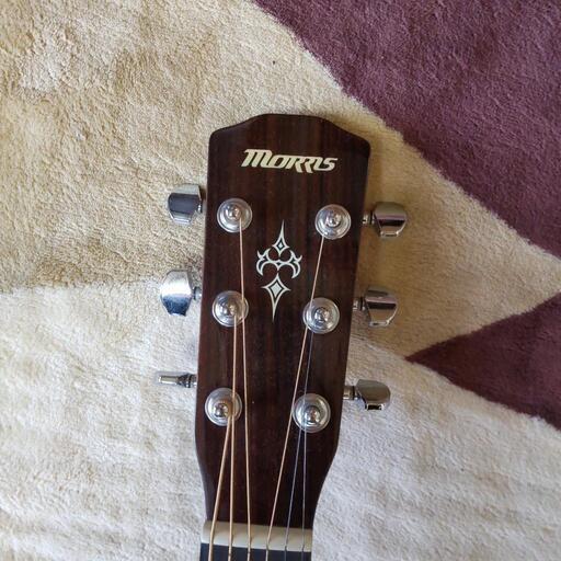 モーリス アコスティクギター Morris acoustic guitar モーリス アコギ