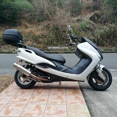 YAMAHAマジェスティ原付き125cc　コマジェソリッドマスク...