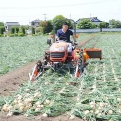 未経験OK！玉ねぎ農園での収穫・出荷作業などの農作業【正社員】