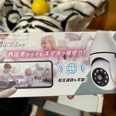 360 Wi-Fiカメラ