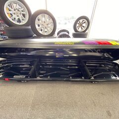 傷も少なく 使用感も少ない TERZO ルーフボックス　(管理番号：2900088） 傷も少なく 使用感も少ない TERZO ルーフボックス (管理番号：2900088）