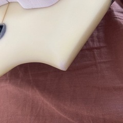 COLE Praying Mantis コール プレイングマンティス