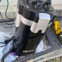 熱帯魚引退セット 相場わからないので値下げしますが高く買ってくれる