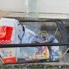 熱帯魚引退セット 相場わからないので値下げしますが高く買ってくれる