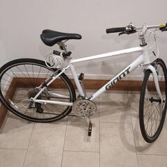 GIANT ESCAPE R3 クロスバイク Sサイズ