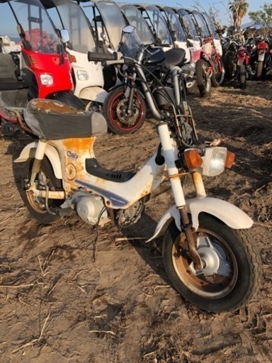 ホンダ　シャリーAT     50   書類付レストアベース車