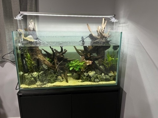 90cm水槽