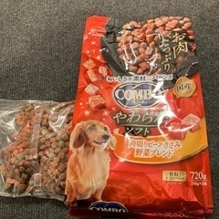 ペットフード　犬用　240gx3袋　1パック　おまけでもう一袋