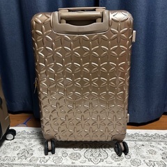 決まりました！スーツケース