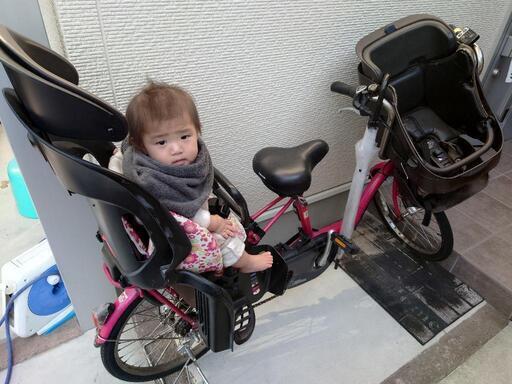 決定しました☆電動アシスト自転車　前後子供2人乗り可能