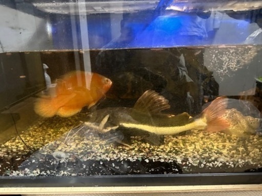 まとめ売りです