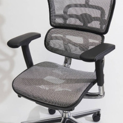 売り切れ次第終了 ☆台数ございますご相談ください Ergohuman エルゴヒューマン デスク オフィス チェア ハイバック メッシュ 高機能 人気のグレー