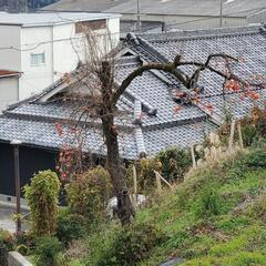 お宝、その他多数