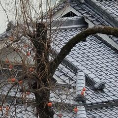 お宝、その他多数