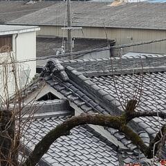 お宝、その他多数