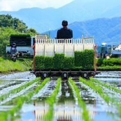 田植え代行