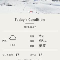 　「お得」「特典付き」上越国際スキー場&岩原スキー場　共通　リフト券　大人2枚&こども2枚　計4枚分価格