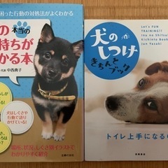 犬の本