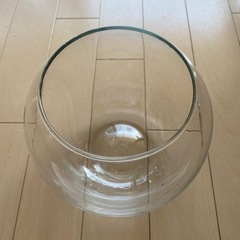 ガラス　鉢