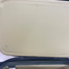 THE NORTH FACE フィルデンスクーラー12 （ニュートープグリーン）　中古