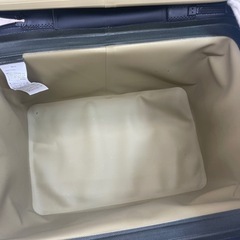 THE NORTH FACE フィルデンスクーラー12 （ニュートープグリーン）　中古