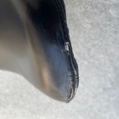 バイク シート ハーレーダビッドソン