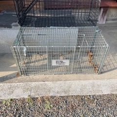 捕獲器貸します