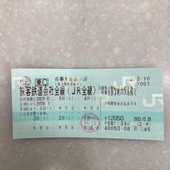 値下げ‼️ 青春18きっぷ　2回　切符　郵送可