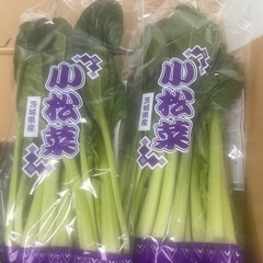 小松菜　野菜　5袋
