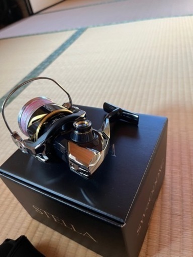 ステラsw6000xg