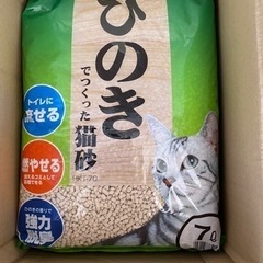 猫砂　ヒノキ　5袋