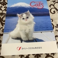 かわいい猫カレンダー