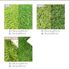 人工芝　2×10m 2ロール　新品に近い