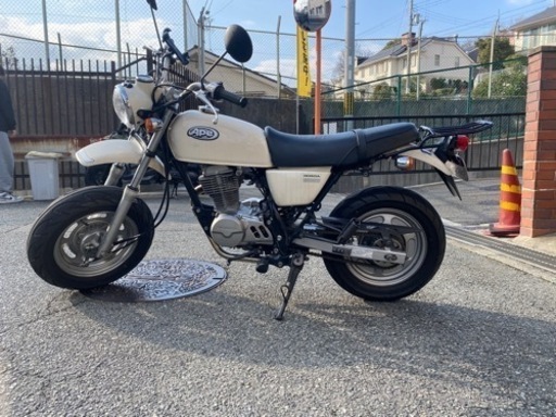 その他 ape100