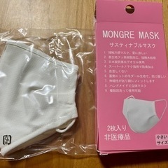接触冷感マスク　1枚（布タイプ）