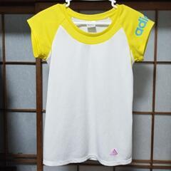 来週廃棄adidas レディースSサイズ 半袖Tシャツ