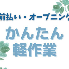 接客無しの洗車staff 🌈未経験9割・基本は機械で洗車