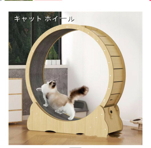 キャットホイール