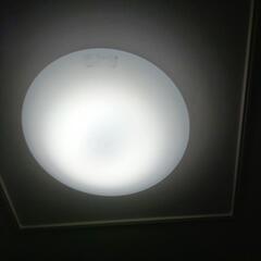 取引中　KOIZUMI　LED　ランプ　大きめ　径:約60ｃｍ