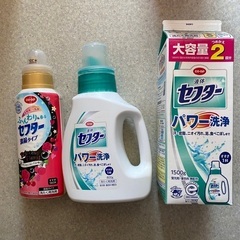 【神奈川県】洗濯洗剤　使いかけ含む