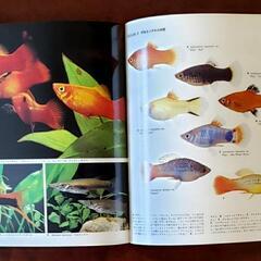 図鑑「世界の熱帯魚」