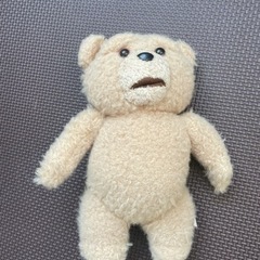 テッド　Ted