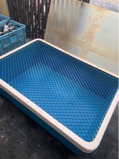 中古 めだか、金魚飼育水槽 ふた、網付き